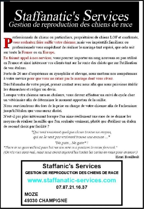 Staffanatic's - Staffanatic's Services, Gestion de Reproduction des chiens de race