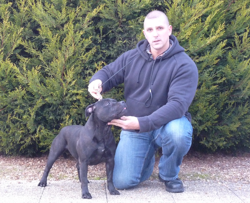 Staffanatic's Arnold scharzenegger