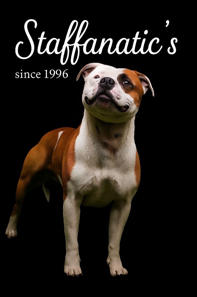 Staffanatic's Usual suspect