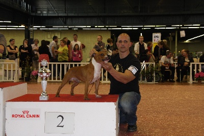 Staffanatic's - Angers 2012
